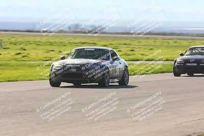 media/Feb-25-2024-CalClub SCCA (Sun) [[3c767ec4f8]]/Group 7/Race (Start Finish)/